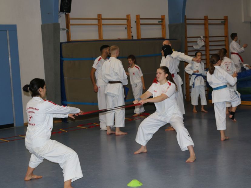 Voll motiviert beim Jahresabschlußtraining der Karatekas aus dem Hessischen Landeskader    Bild: Martina Bier für den HFK