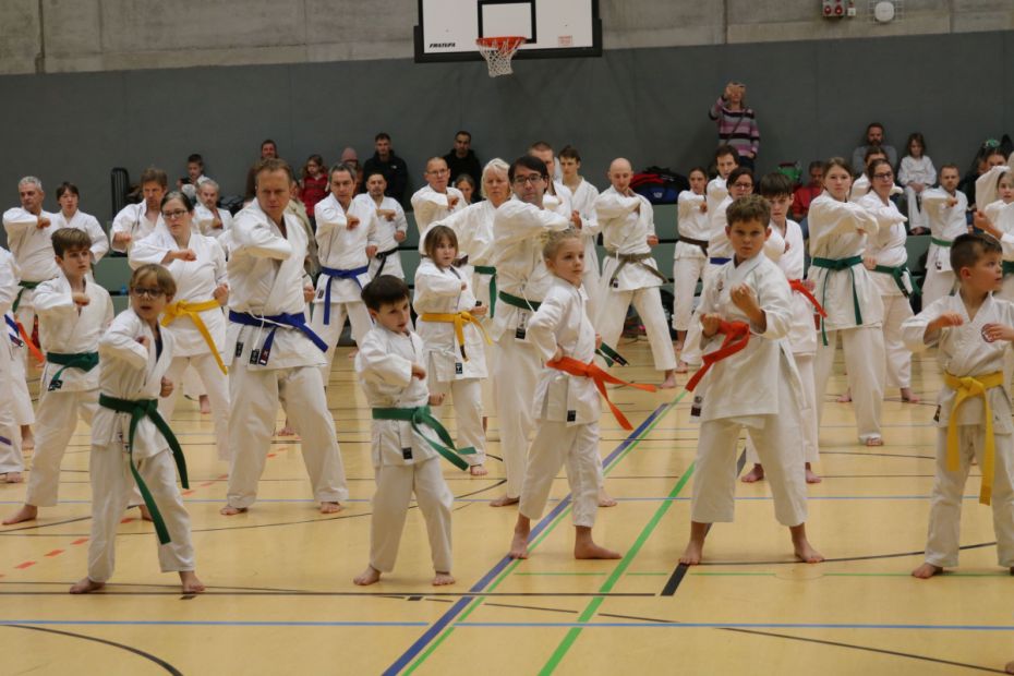 Junge und ältere Karatekas haben Spaß beim Eröffnungstraining    Bild: Martina Bier für den HFK